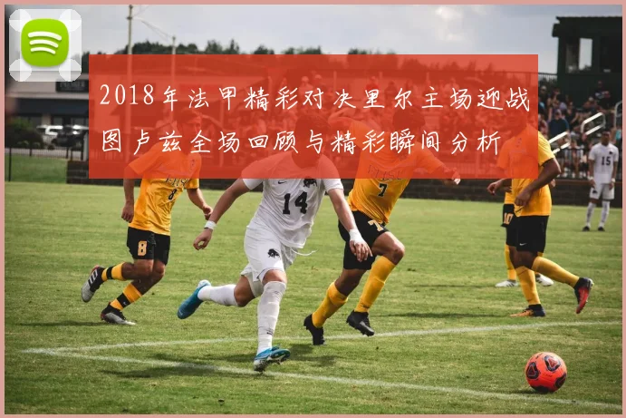 2018年法甲精彩对决里尔主场迎战图卢兹全场回顾与精彩瞬间分析
